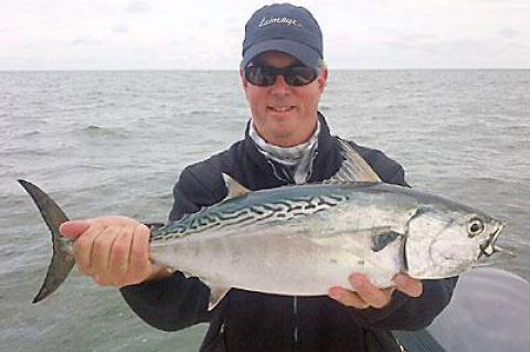 To prove what’s possible around Montauk Point these days, Edward L. Shugrue III visited it with a guide, Ken Rafferty. This false albacore was caught on his fly rod.