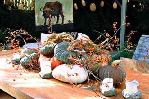 Halloween-themed food gets a big boost from a season-appropriate centerpiece of squash, gourds, and a creepy spider.