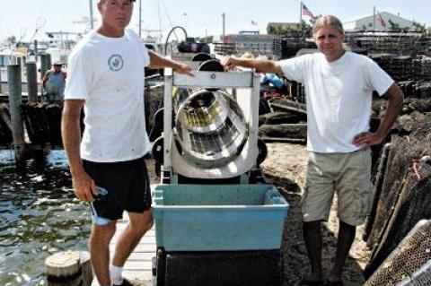 Mike Martinson and Mike Doall of the Montauk Shellfish Company, photographed in July, worked hard to save their crop as Hurricane Sandy approached.