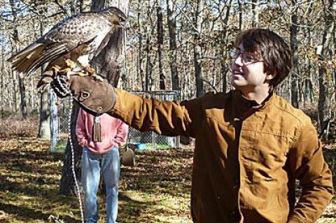 Sam Kramer, a senior at the Ross School, began training his red-tailed hawk two weeks ago as a senior project that sprang from a longtime interest in falconry.