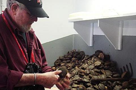 Jimmy Lester shucked scallops at the Lester shucking shack off Abraham’s Path in East Hampton on Tuesday, the day after the season opening in town waters.