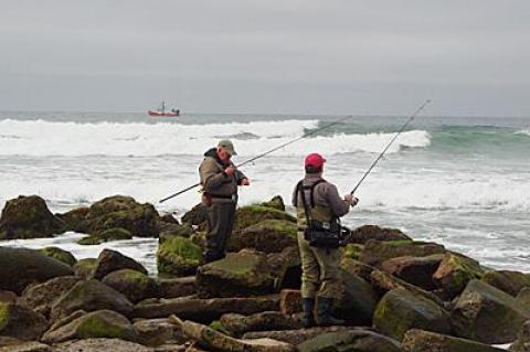 Surfcasters worked the broken jetty at Ditch Plain for striped bass on Monday morning as a dragger towed for fluke offshore.