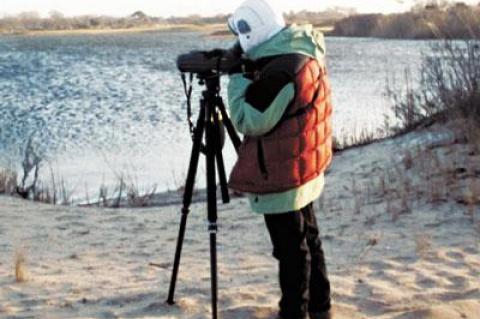 Karen Rubenstein took aim at a raft of geese on Hook Pond on Saturday as part of the New York State Ornithological Association’s mid-winter duck count.