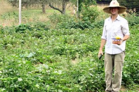 Frank Trentacoste, or Farmer Frank, helped his brother pick produce at Quail Hill Farm in Amagansett last summer. This year, he is launching Bhumi Farm on a two-acre plot leased from the Peconic Land Trust.