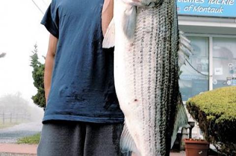 Robert Van Velsor caught this 38.58-pound striper on Montauk’s south side using a bucktail.