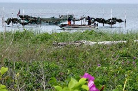 Fishermen in Montauk’s Fort Pond Bay checked their traps. Squid, among the species usually found in traps in early June, has been relatively absent from local waters this spring.