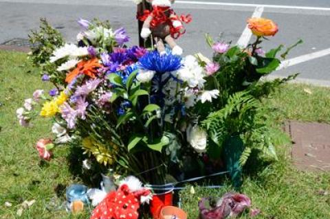 Flowers, candles, and stuffed animals have been placed at the roadside near the spot where Anna was hit and classmates and friends have been visiting it over the past few days.