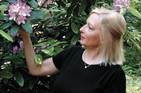 The botanical artist Karen Kluglein lives in a pine forest in Northwest, where she competes with the deer for much of her subject matter. Her watercolor of Rosa rugosa will be this year’s poster for the upcoming Ladies Village Improvement Society Fair.