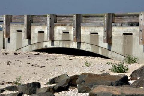 A culvert on Gerard Drive in Springs, built to increase tidal flushing of the north end of Accabonac Harbor, was not opened this year for the first time since its completion in 2006.