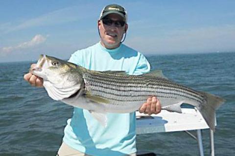 Michael Salzhauer caught this striped beauty while fishing with Capt. Ken Rafferty on the south side of Montauk Point at the spot known as Caswell’s on Saturday.