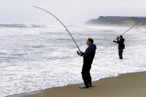 Surfcasters had to work for their catch on Friday, as a large ocean swell was pushed sideways by a 20-knot southwest wind, but big bass in the 20-to-30-pound range were the payoff.