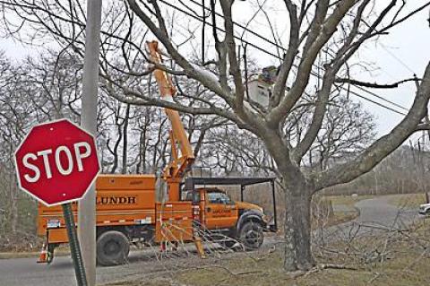 Tree-trimming work has begun in Montauk to meet new clearance standards for power transmission lines. PSEG Long Island has contracted the work to private companies.