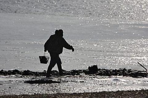 The East Hampton Town Trustees’ 2013 water-quality test results will be presented on March 19 at 6 p.m. at Town Hall.