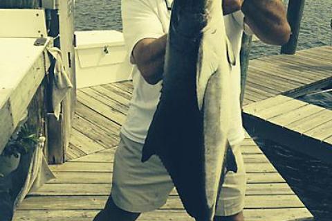 Dave Wagner, above, and George Lombardi, both of Springs, caught this 40-pound cobia fishing on Lombardi’s boat, Tough Tony II, off Stuart, Fla. They caught 12 cobia and released 11.