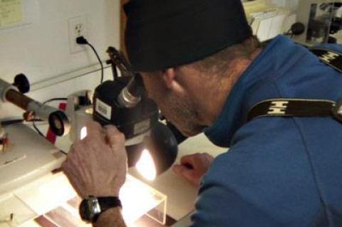 John Dunne, director of the East Hampton Town Shellfish Hatchery, inspected larval oysters at the hatchery on Fort Pond Bay in Montauk.