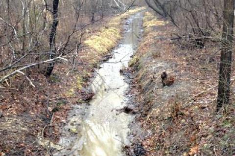 Ligonee Brook is a longstanding stream that runs intermittently down through the last century and more.