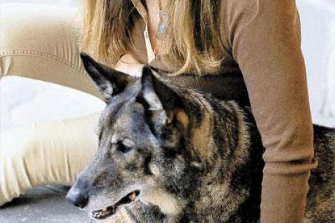 Jill Rappaport, seated with a furry friend, is the host of the Travels With Charley dog walk in Sag Harbor, based on John Steinbeck’s book and sponsored by the Bay Street Theatre.