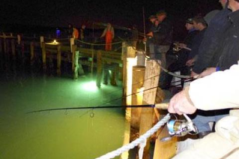 Squidders lined a dock in Montauk as their lamps lighted the water below.