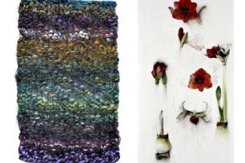 “February (V),” a photograph by Laurie Lambrecht of one of her knitted pieces, and “Red Amaryllis,” a drawing by Linda Etcoff