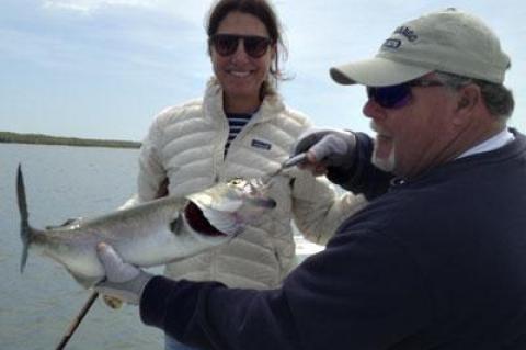 Capt. Ken Rafferty displayed a hefty bluefish angled from Gardiner’s Bay last week by a proud-looking Gretchen Mannix.