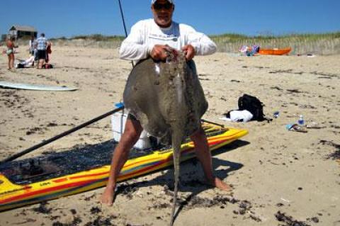 Fishing off Ditch Plain from his stand-up paddleboard, David Schleifer hooked this 40-pound ray.