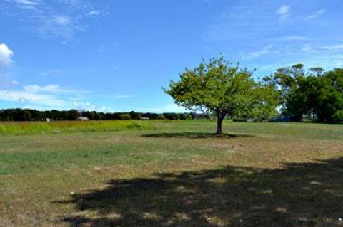 Maintaining this view from Wainscott Hollow Road toward Sayre’s Path has been a key concern of the East Hampton Town Planning Board as it reviews a subdivision application for 40 acres of former farmland there.