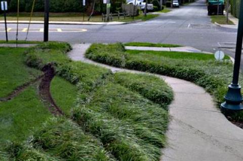 Skid marks from the pickup truck Christopher S. Verity drove onto the lawn of the Bridgehampton National Bank in East Hampton Monday morning extended across Gingerbread Lane and at least 20 yards down Church Street.