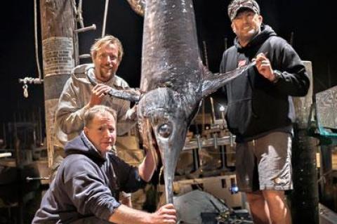 Pat Wetzel, kneeling, Chris Miller, and Mike Tierney caught this 256-pound swordfish aboard the Sea Spearit in the Fishtails section of Block Canyon on Monday morning.