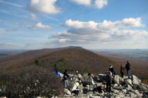 The Hawk Mountain Sanctuary in Pennsylvania is a mecca for migrating raptors and the birders who watch them.