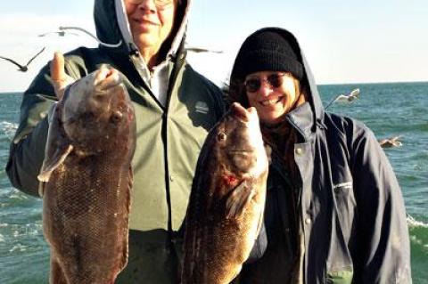 Tom Hensler of East Hampton and Dai Dayton of Bridgehampton enjoyed a productive day of blackfish and sea bass fishing aboard the Breakwater charter boat on Sunday.