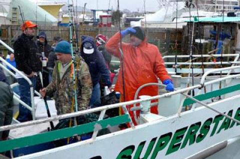 Snow was blowing on an east wind as anglers aboard a Viking boat returned to port in Montauk Saturday afternoon after an excellent day of cod fishing.