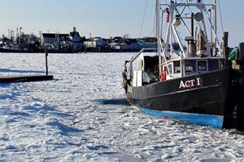 Montauk Harbor was frozen solid on Sunday, bringing commercial fishing to a brief standstill.