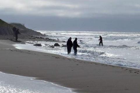 Surfcasters have been working the regular spots, including the short jetty in front of the old East Deck Motel in Montauk.