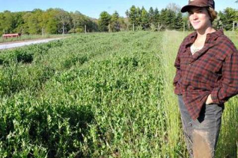 Cailyn Brierley revealed the progress of Quail Hill’s pea plants this week.