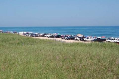 Four-wheel-drive vehicles lined the beach in a 2011 photograph of a portion of the Napeague oceanfront that is the subject of a lawsuit by a group of property owners seeking to end vehicle access there.