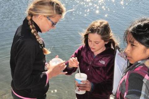 From left, Jameson Grant, Devyn Eames, and Milena Torres worked together to measure various aspects of water quality at Louse Point on Oct. 23 as part of the Day in the Life of the Peconic Estuary program.