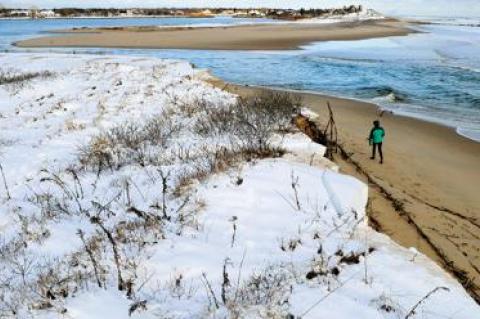 Georgica Pond is the focus of a new effort to reverse the effects of pollution.