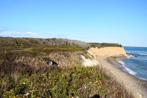 Views like this one of the Montauk bluffs have been preserved from development thanks to many efforts and sources of funding, including the Peconic Bay Region Community Preservation Fund.