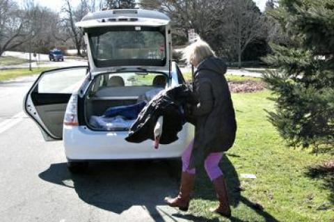 A swan rescue.