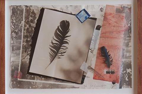 “Feather II,” a collage with a handmade frame by Koichiro Kurita, is from a series the photographer started this year.