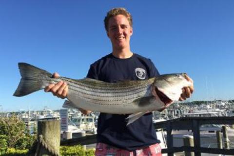 Jack Gaffney caught a 33-inch striper last week off Montauk Point.