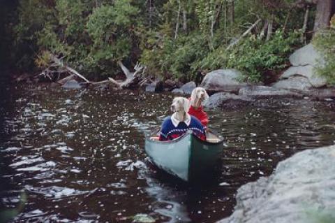 Above, William Wegman’s film “The Hardly Boys in Hardly Gold” stars his weimaraners dressed up for a sleuthing adventure. Below, in “Harvey and Harmony,” a poodle totes a monogrammed suitcase.