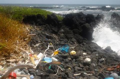 Billy Strong and Dell Cullum found fields of trash and debris on Isabela.