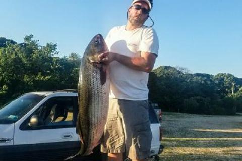 John Ciullo caught this hefty 47-pound striped bass off Montauk Point.