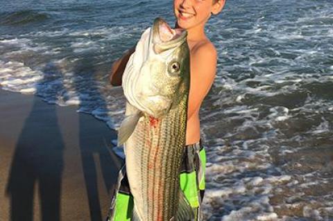 Eleven-year-old Ellis Whiteson from New York City caught a 20-pound striped bass on a bunker chunk while fishing from the beach at the Sea Crest Resort on the Napeague stretch.