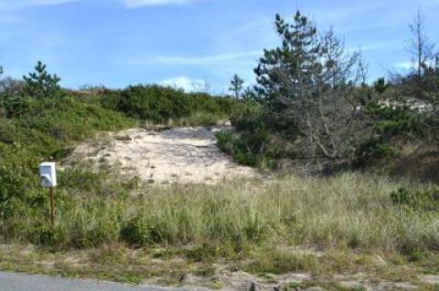 The owner of the final undeveloped beachfront property on Shore Road is awaiting a decision from the East Hampton Town Zoning Board of Appeals on a permit for a house on the dune.