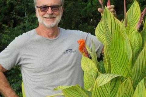 Tom Dakin’s cannas are taller than he is.