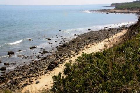 The large rocks deposited in this area when it was formed by a glacier some 25,000 years ago fall out of the Montauk bluffs as they recede, ending up on the beach and, as sea level rises, in the water.