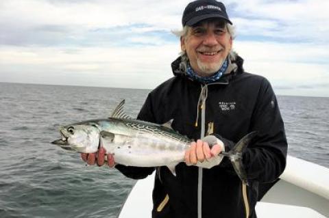 Bob Wilder caught this false albacore last Thursday in Gardiner’s Bay.