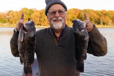 William Feigelman caught these blackfish around Valiant Rock last Thursday.